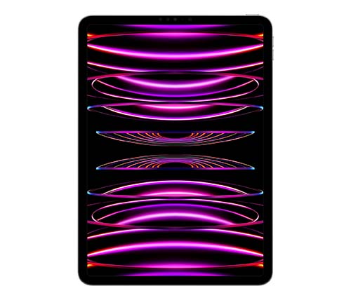 IPad Pro 11'' Wi-Fi 256GB Space Gray | אייפד פרו 11 256GB אפור | שנה אחריות אפל רשמית