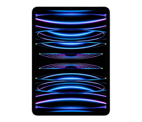 IPad Pro 11'' Wi-Fi Cellular 256GB Silver | אייפד פרו 11 256GB כסוף | שנה אחריות אפל רשמית