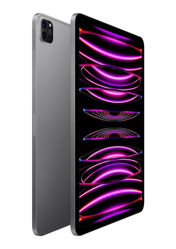 IPad Pro 11'' Wi-Fi 256GB Space Gray | אייפד פרו 11 256GB אפור | שנה אחריות אפל רשמית