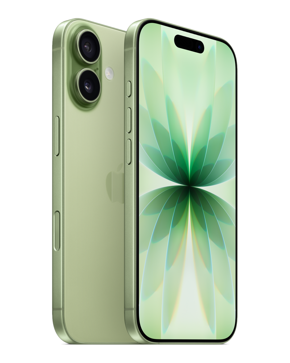 iPhone 17 512GB יבואן רשמי c-data  | תומך Esim ו NFC | Sage | כולל סים פיזי